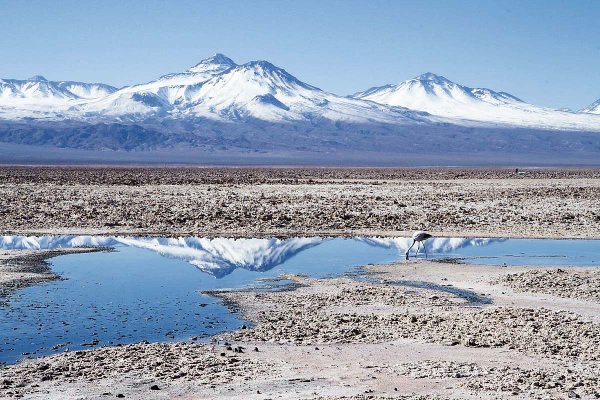 <p>Bci eleva proyecciones de SQM y calcula potencial alcista sobre 10% ante "cambio sustancial" en los fundamentos del litio</p>