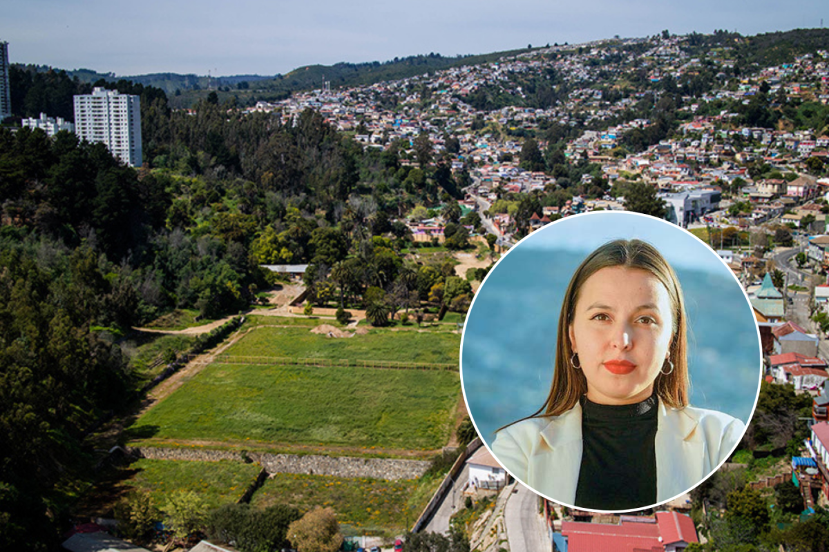 <p>Municipalidad de Valparaíso arriesga pago de $ 30 mil millones a inmobiliaria de Nicolás Ibáñez tras graves errores procesales en "Caso Pümpin"</p>