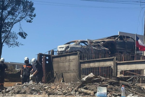<p>Punta de Parra después de los incendios en Biobío</p>