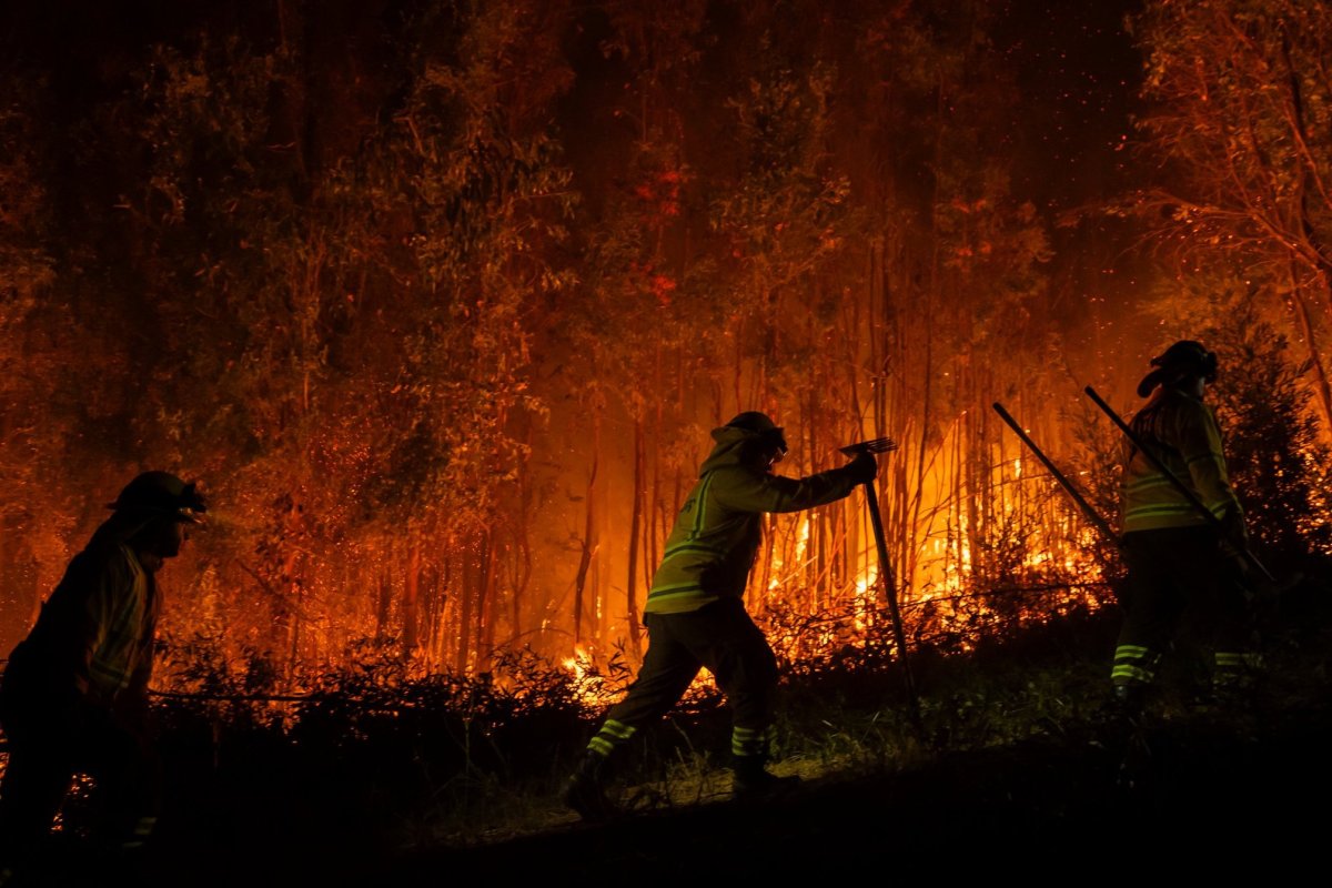 <p>SEA paraliza tramitación de inversiones en el Biobío y Ñuble debido a los incendios y CPC pide no hipotecar la reactivación</p>