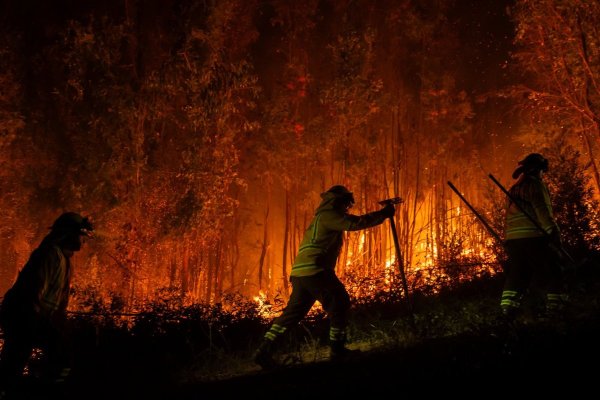 <p>SEA paraliza tramitación de inversiones en el Biobío y Ñuble debido a los incendios y CPC pide no hipotecar la reactivación</p>