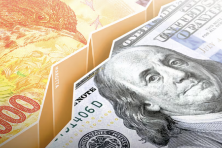 Banco Central de Argentina compró más de US$ 1.000 millones en lo que va de enero en medio de leve subida diaria del dólar