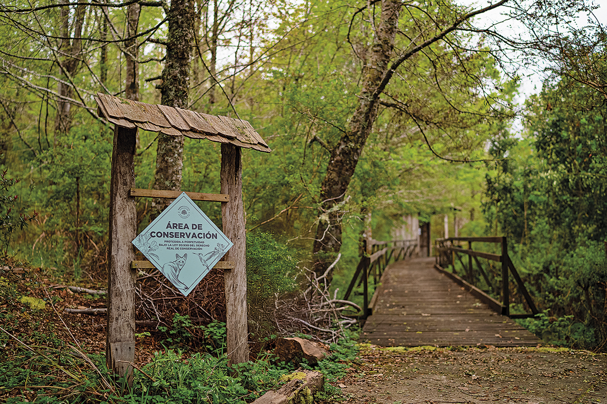 <p>Alihuen (Chiloé, Región de Los Lagos), área protegida bajo DRC.</p>
