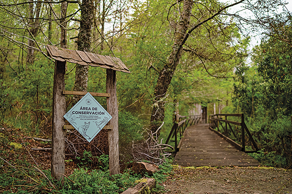Alihuen (Chiloé, Región de Los Lagos), área protegida bajo DRC.
