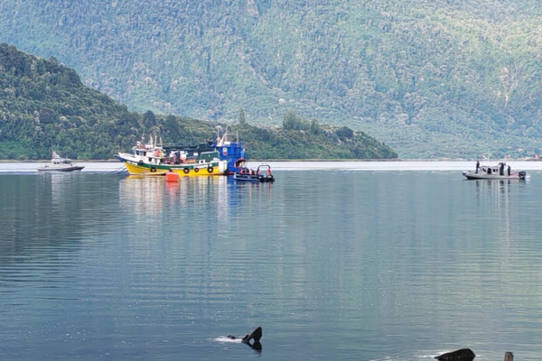 <p>Naufragio de embarcación que prestaba servicios a Salmones Austral deja un fallecido y cinco desaparecidos en el Estuario de Reloncaví</p>