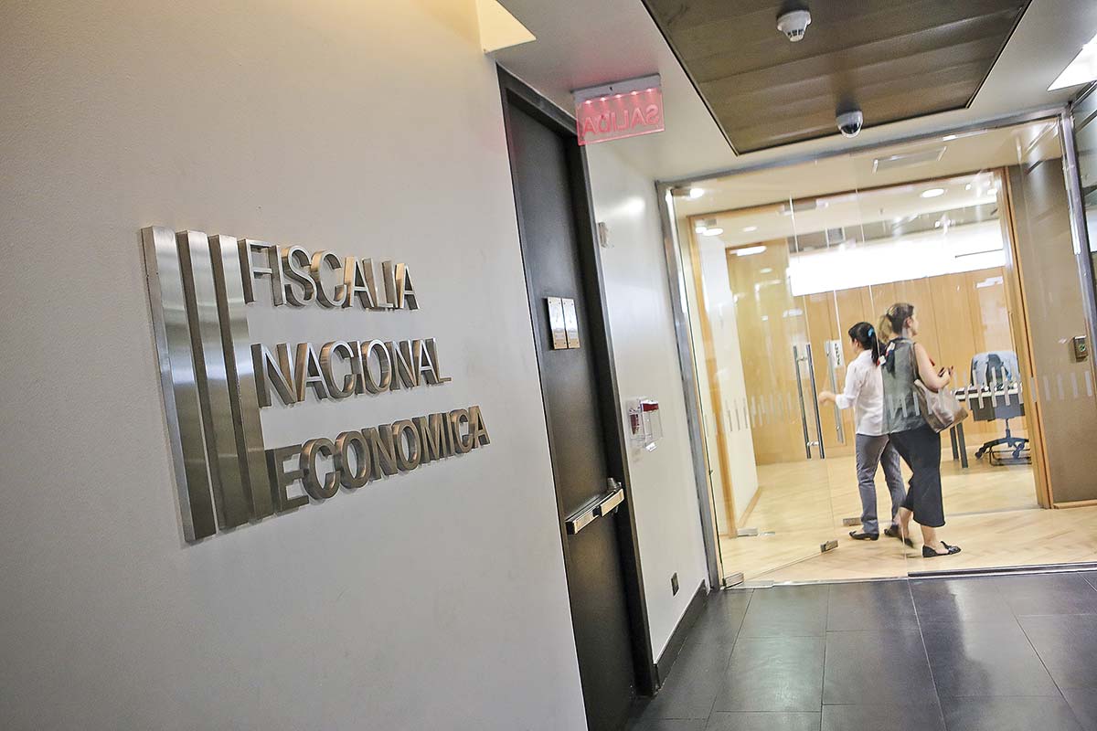 <p>Foto: Rodolfo Jara</p>