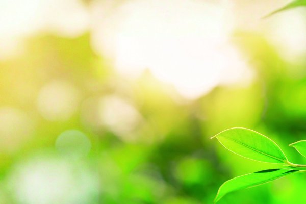 Megaproyectos de hidrógeno verde entran en punto crítico y marzo será decisivo para su continuidad