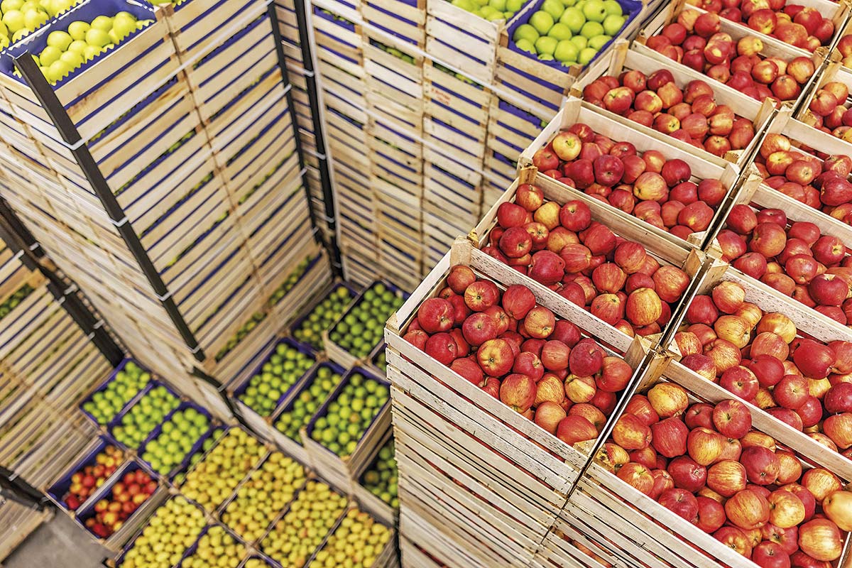 <p>El plan de Frutas de Chile para superar los US$ 10.000 millones de exportaciones para 2028</p>