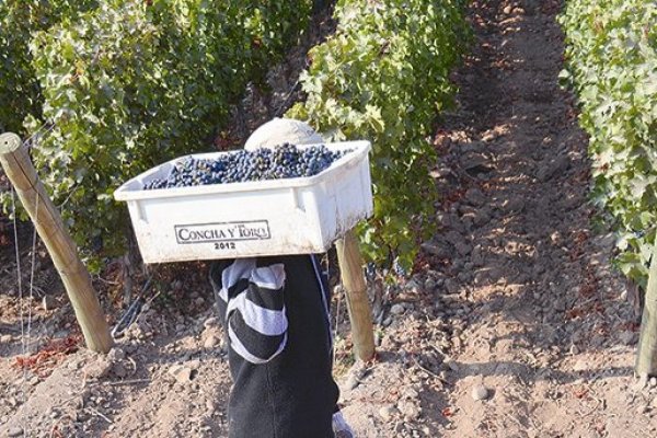 <p>Concha y Toro amplía su presencia internacional con la compra de viña rosé en Francia</p>