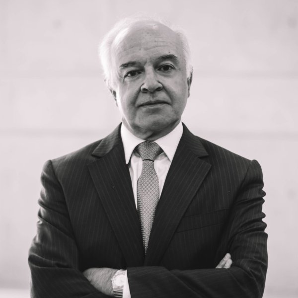 “Animal spirits”