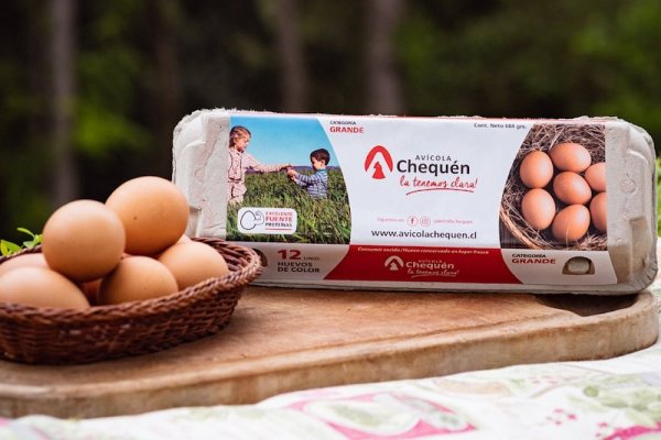 <p>Tradicional avícola del Biobío anuncia cierre de operaciones: brote de gripe aviar y crisis financiera precipitaron la quiebra</p>