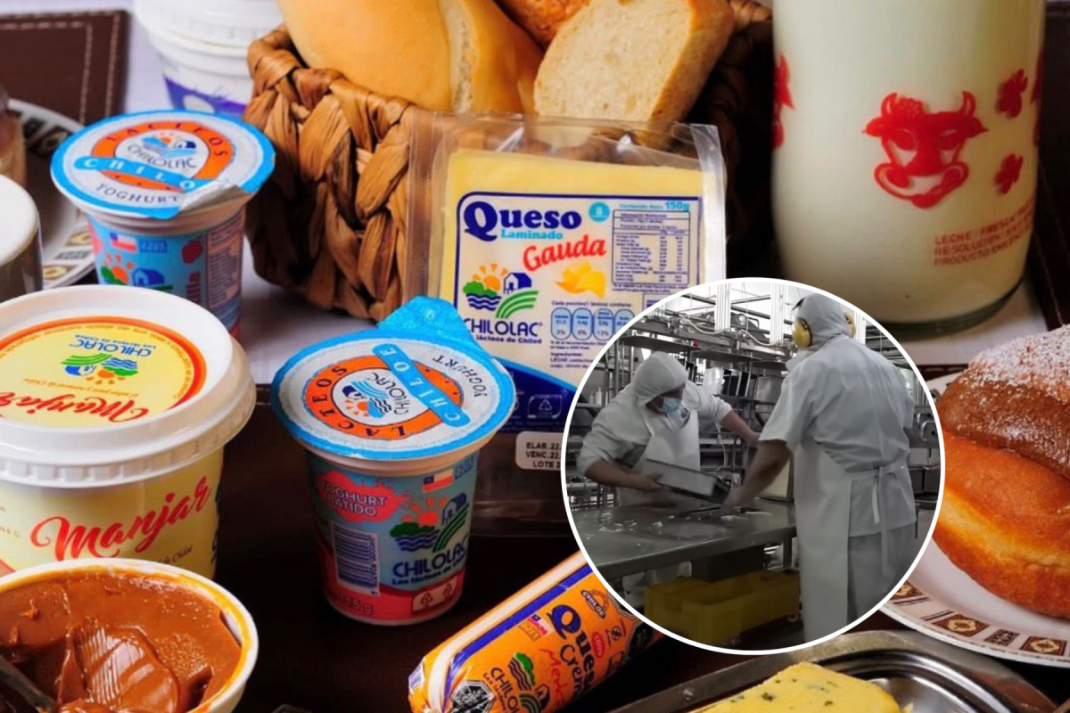 <p>Chilolac concreta 110 despidos sin indemnización por años de servicio: sindicato estima deuda de $1.200 millones en finiquitos</p>