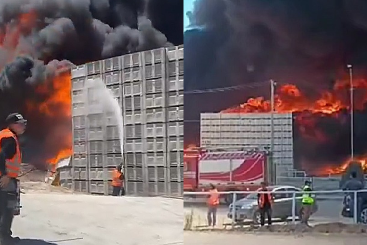 <p>Incendio de proporciones obliga a evacuar instalaciones de Verfrut en Las Cabras</p>