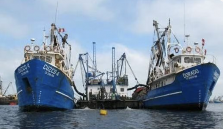 <p>Exalmar y las coordenadas tras sumar la Pesquera Centinela en Perú: ¿qué metas tiene para 2026?</p>