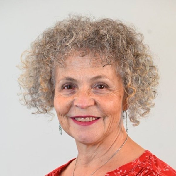 Tres ejes para fortalecer la Ley de Incendios Forestales