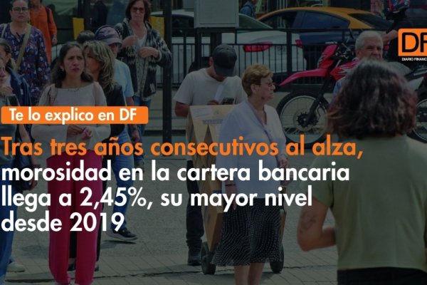 <p>Te lo explico en DF | Tras tres años consecutivos al alza, morosidad en la cartera bancaria llega a 2,45%, su mayor nivel desde 2019</p>