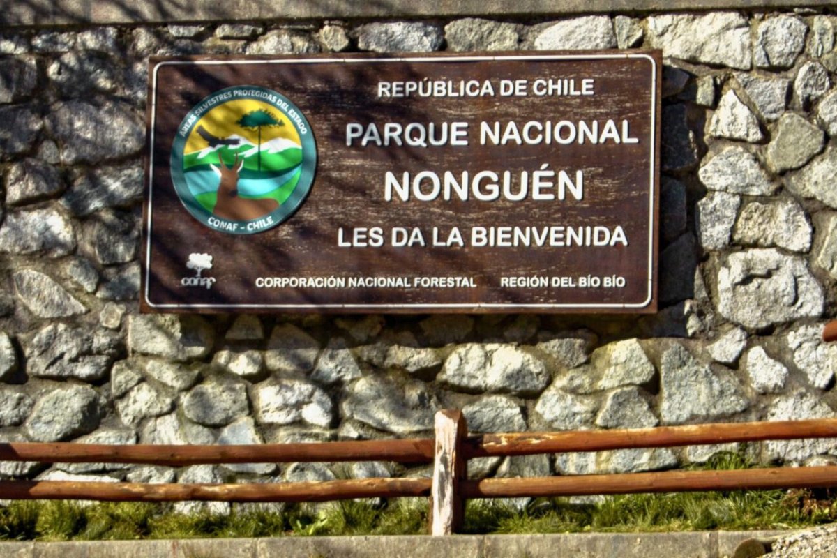 <p>Crédito de la fotografía: Conaf.</p>