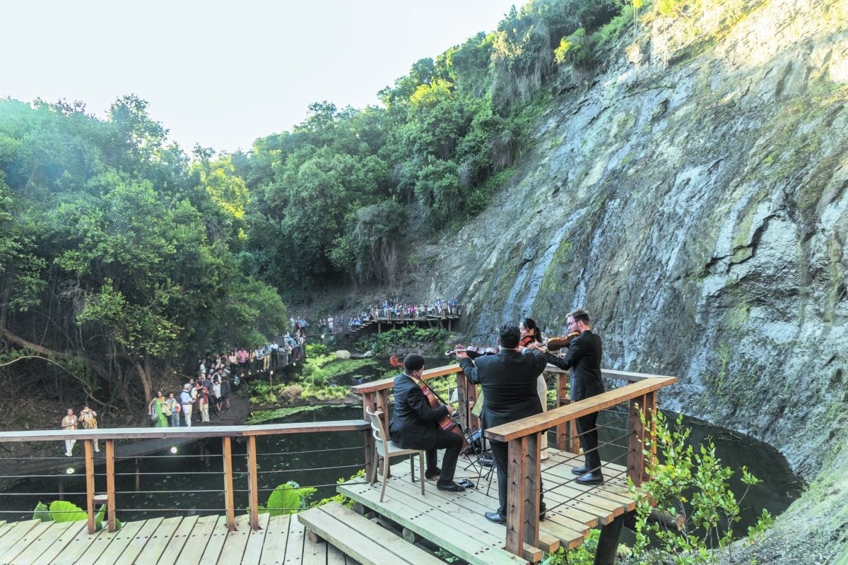 <p>El “Milagro” que se inauguró la semana pasada en Parque Tricao</p>