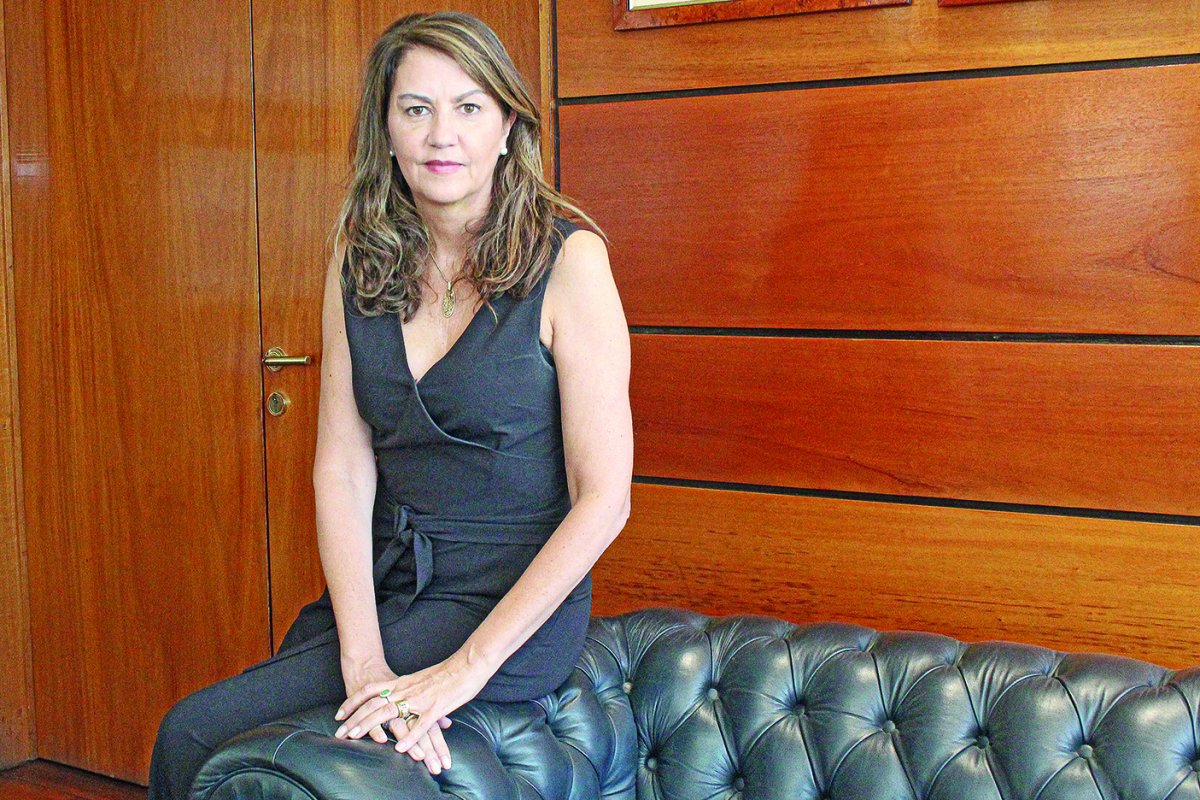 <p>María Teresa Vial, CCS: “Nos preocupa la Ley de Seguridad Privada, ha sido muy difícil la articulación con la autoridad”</p>