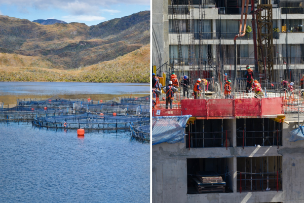 Small caps toman protagonismo en la bolsa, con constructoras y salmoneras liderando el segmento