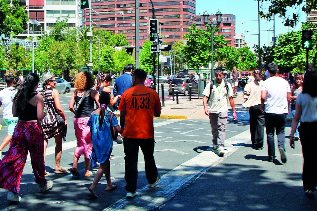 <p>Crédito: Tamara Silva</p>