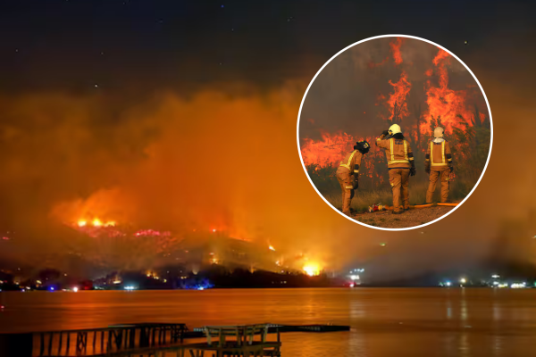 Incendio forestal en Vichuquén mantiene Alerta Roja: fuego ha consumido 300 hectáreas y despliega masivo operativo interregional