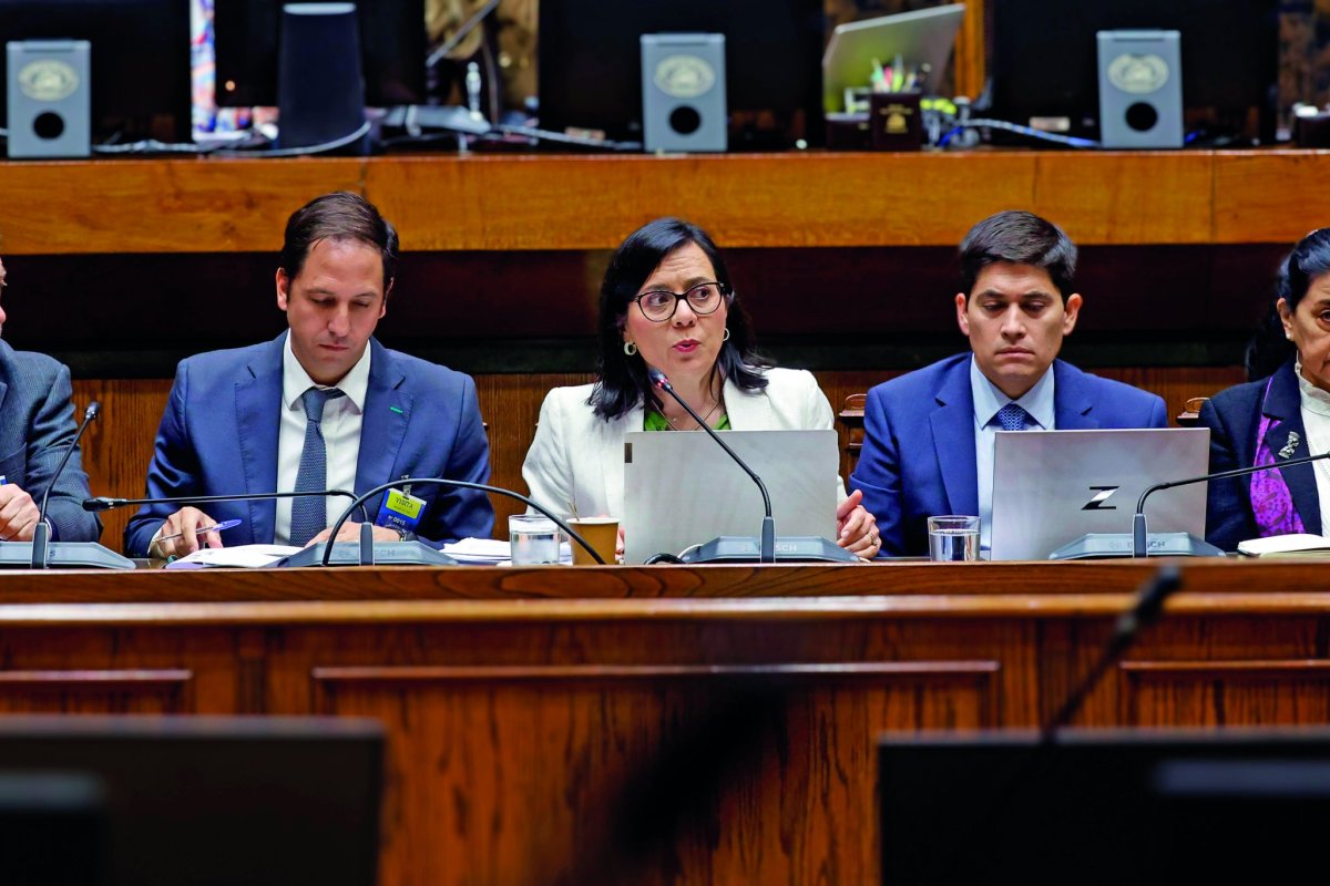 <p>CFA avanza en informe sobre desvío fiscal y reconoce inquietud por cálculo de ingresos para este año</p>