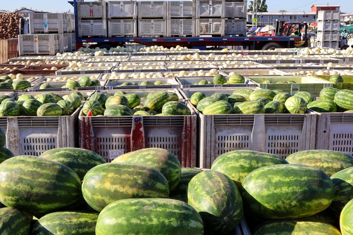 <p>¿Está más barata la feria? Bajas de precios entre verduras y frutas priman este verano</p>