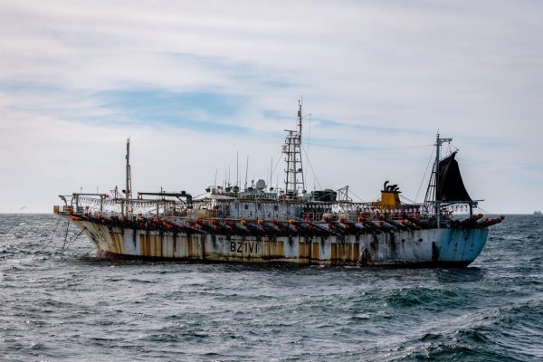 <p>Informe internacional alerta por sobrepesca no regulada de jibia en aguas del Pacífico: recaladas de pesqueros chinos en Chile se han multiplicado 16 veces</p>