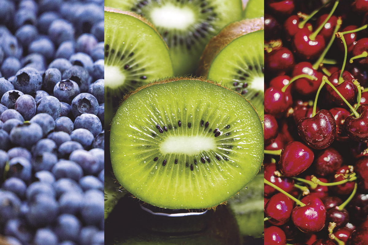 <p>Competencia agrícola peruana se intensifica: exportaciones de fruta alcanzaron a las chilenas en 2025</p>