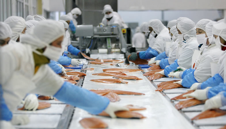 <p>Boom exportador de jurel hacia África dispara un 58% los envíos pesqueros del Biobío durante enero</p>