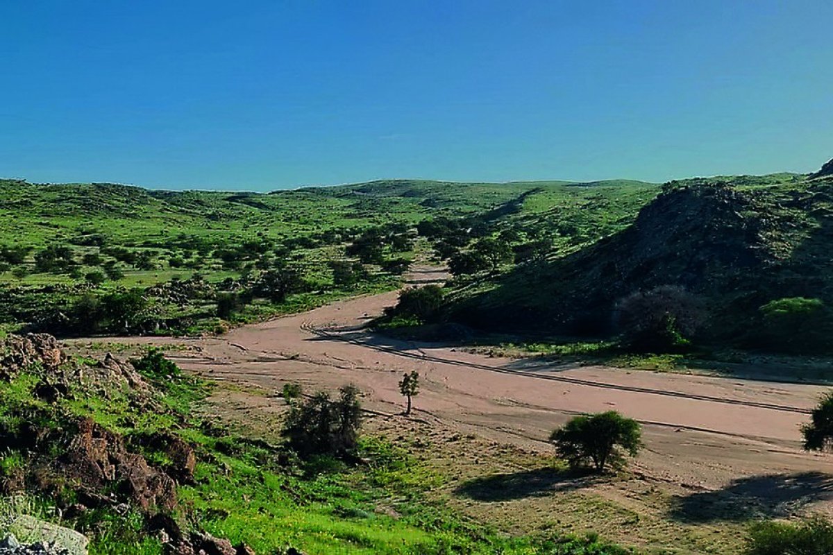 <p>Mucho litio y otros minerales críticos: lo que revelan sondajes del desconocido proyecto de SQM en Namibia</p>