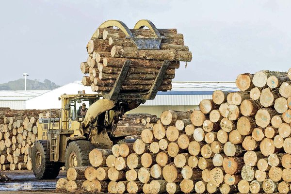 <p>Exportaciones forestales del Biobío caen 40,7% presionadas por China y la inestabilidad global</p>