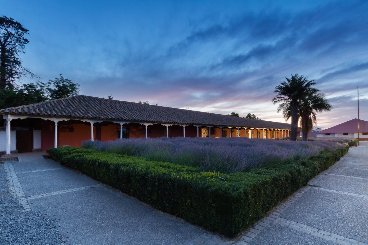 <p>Viña Santa Rita registró pérdidas por $ 5.871 millones durante 2025</p>