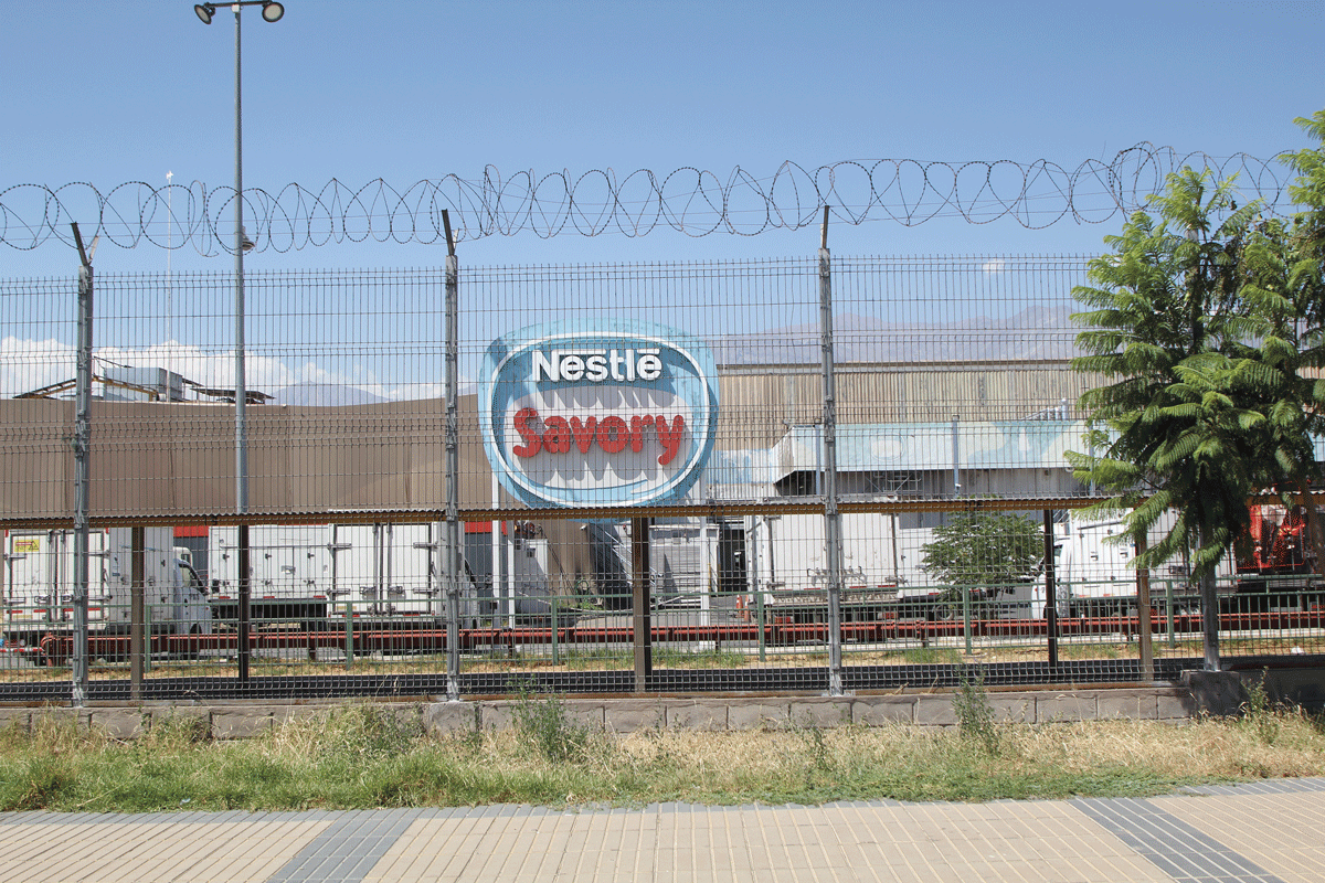 <p>Foto: Tamara Silva</p>