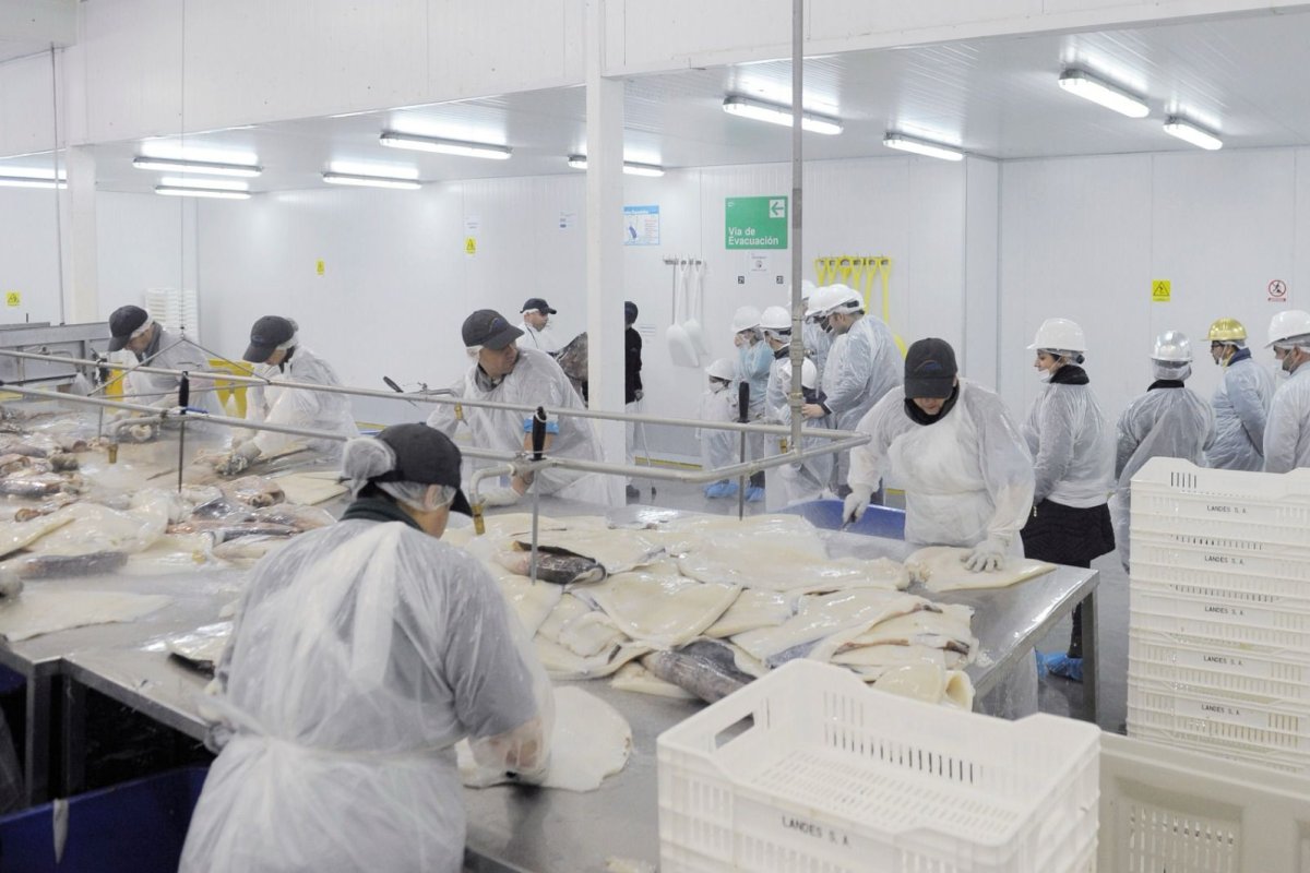 <p>Industriales del Biobío acusan impacto millonario de la Ley de la Jibia y piden reactivar captura ante avance de flota china</p>