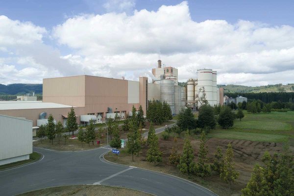 <p>Utilidades de Arauco se desploman más de un 90% en 2025 y caen ventas en negocios de maderas y celulosa</p>