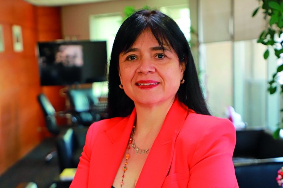 <p>Marta Cabeza Vargas, Superintendenta de Electricidad y Combustibles (SEC).</p>