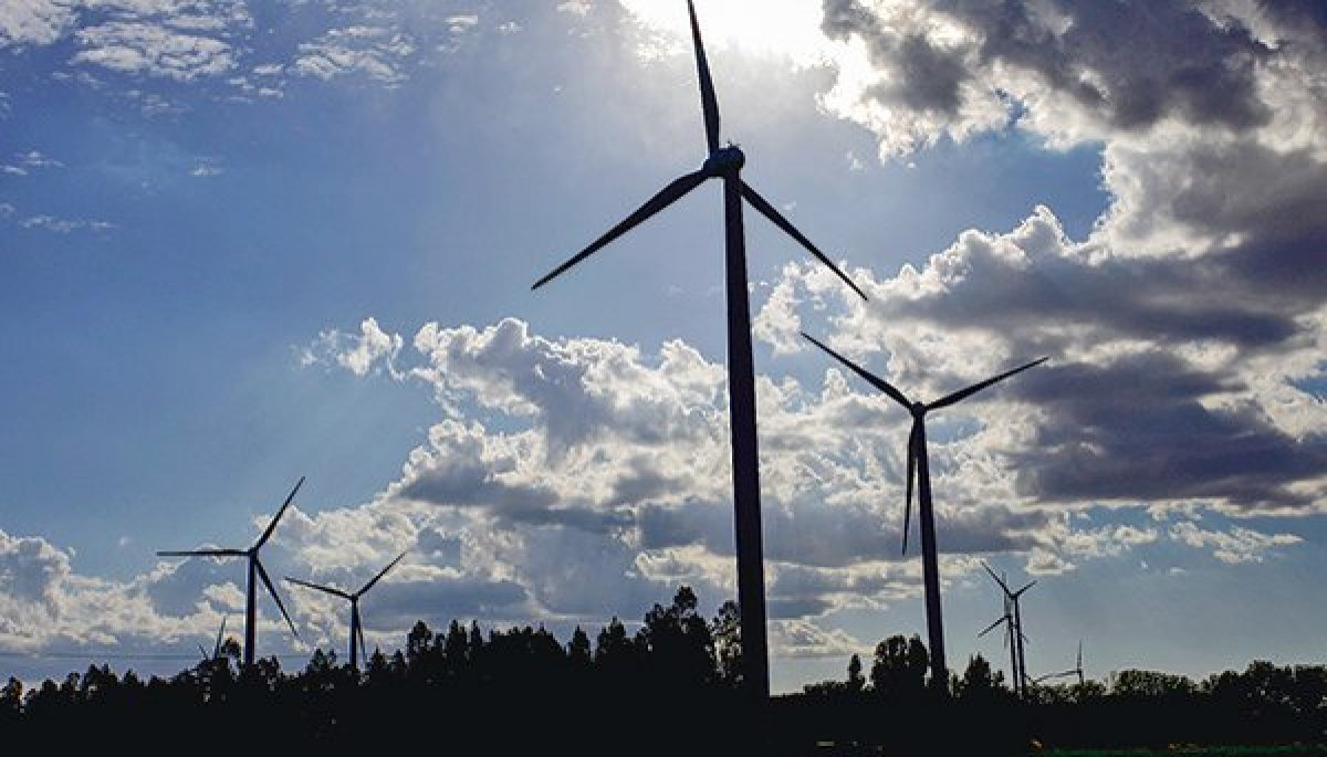 <p>Coeva del Biobío aprueba RCA para Parque Eólico El Rosal, de Engie, con una inversión de US$ 210 millones</p>