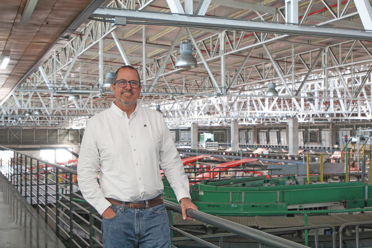 <p>Rodrigo Albarrán, gerente general de Starken. Foto: Tamara Silva</p>