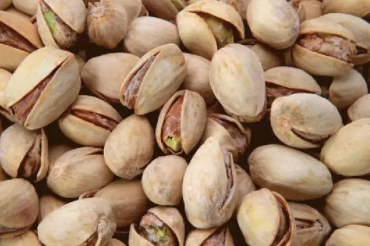 <p>En medio del “boom” del pistacho: AgroFides proyecta expandir su superficie hasta 300 hectáreas por año en Argentina</p>