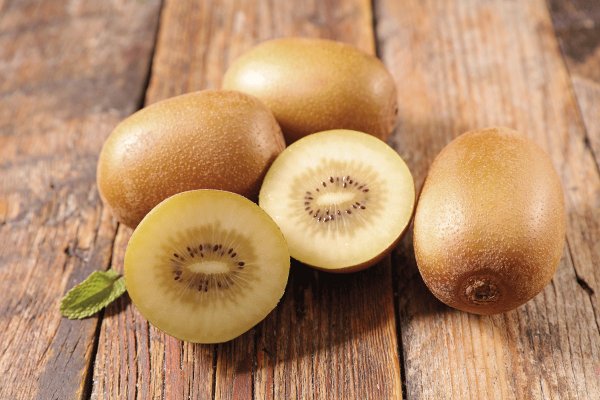 <p>La cruzada de 25 años por cosechar con éxito el kiwi amarillo en Chile para competir con Nueva Zelanda</p>