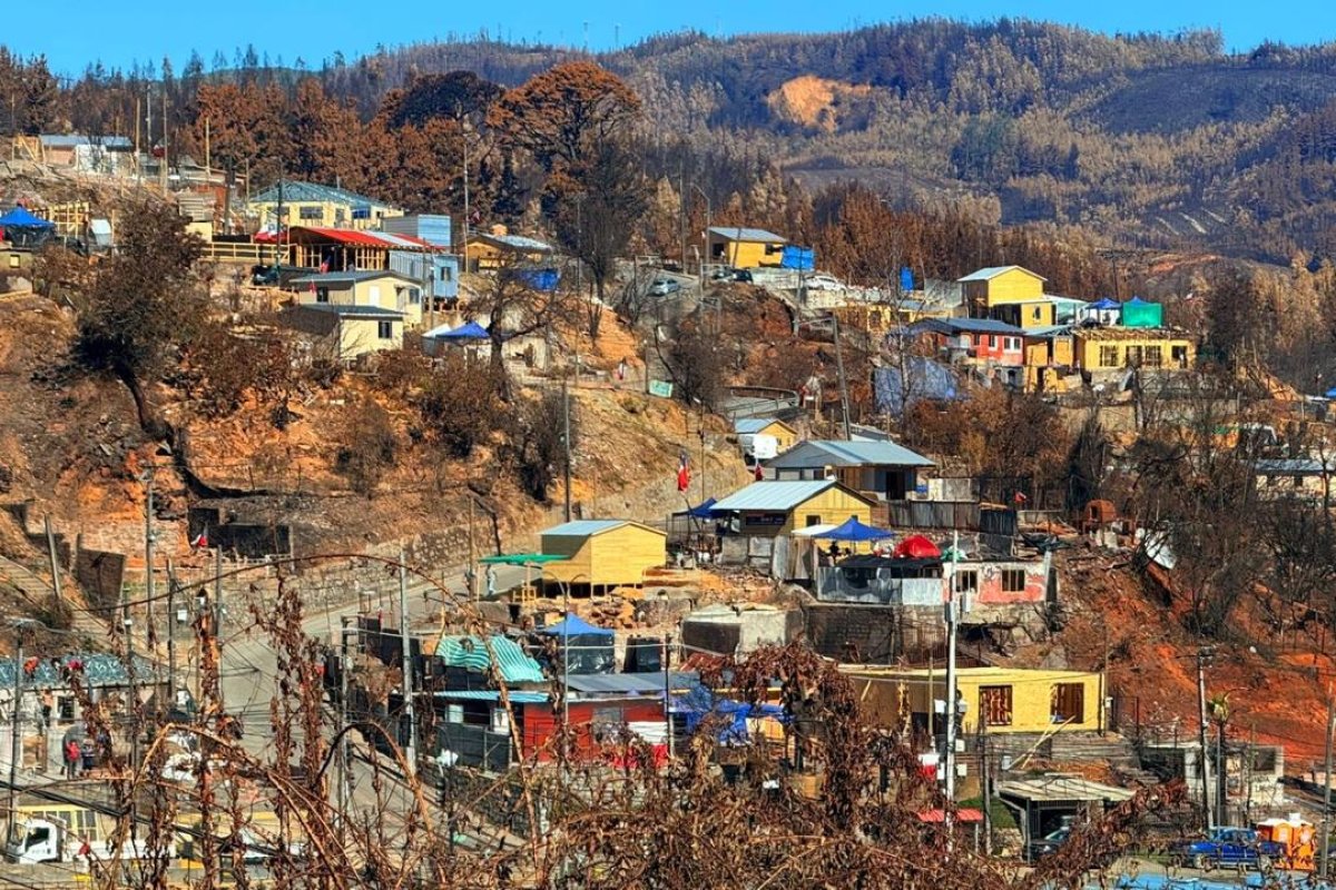 <p>Sernac lanza cotizador de materiales de construcción tras megaincendios en Concepción: detecta diferencias de hasta 62% en insumos clave</p>