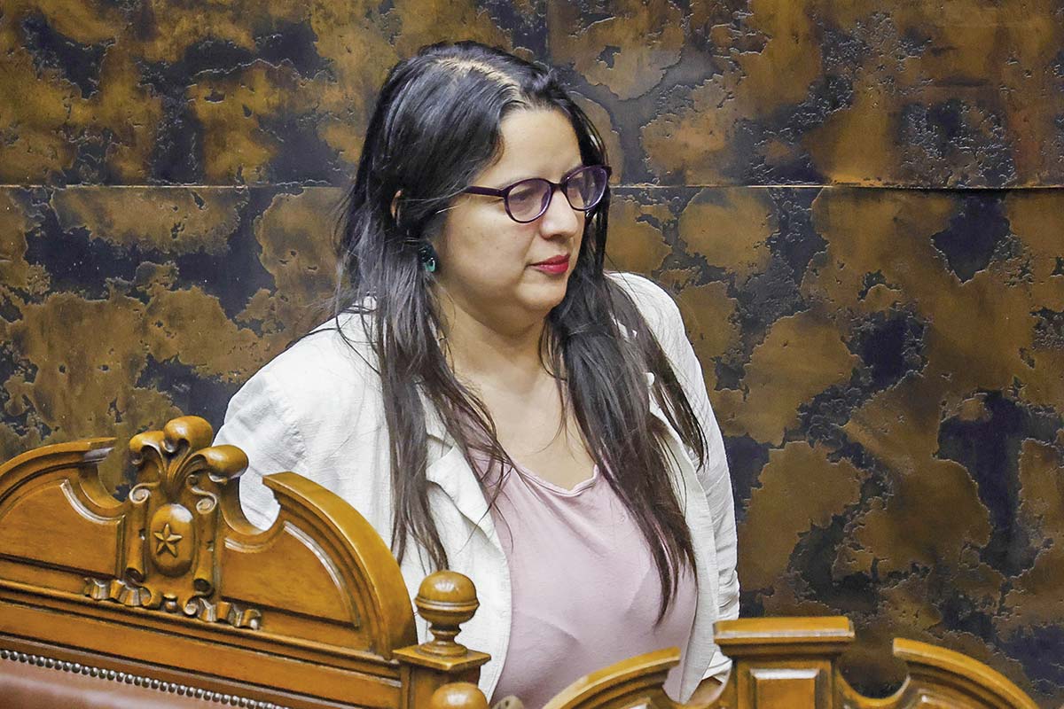 <p>La directora de Presupuestos, Javiera Martínez.</p>