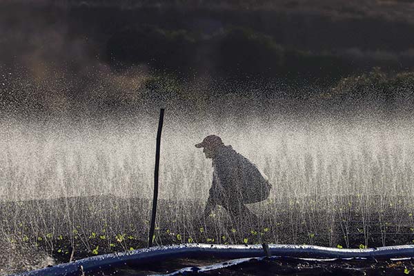 <p>Consejo Regional de La Araucanía aprueba $ 7 mil millones para financiar proyectos de riego agrícola rezagados</p>