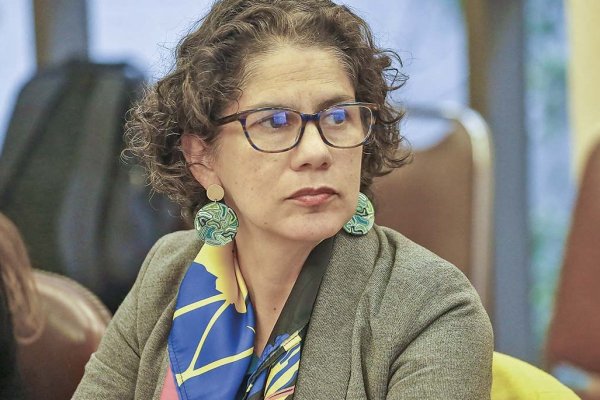 <p>Maisa Rojas, ministra del Medio Ambiente. </p>