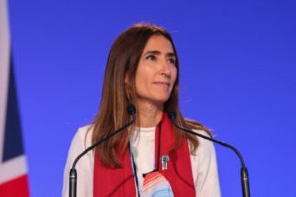 <p>Exministra del Medio Ambiente sería la carta de las AFP para completar en el directorio de Falabella</p>