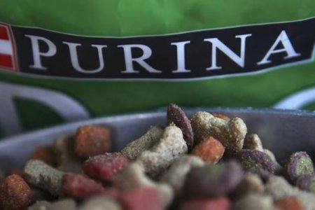 Nestlé Purina inaugura fábrica por US$ 475 millones en el estado brasileño de Santa Catarina