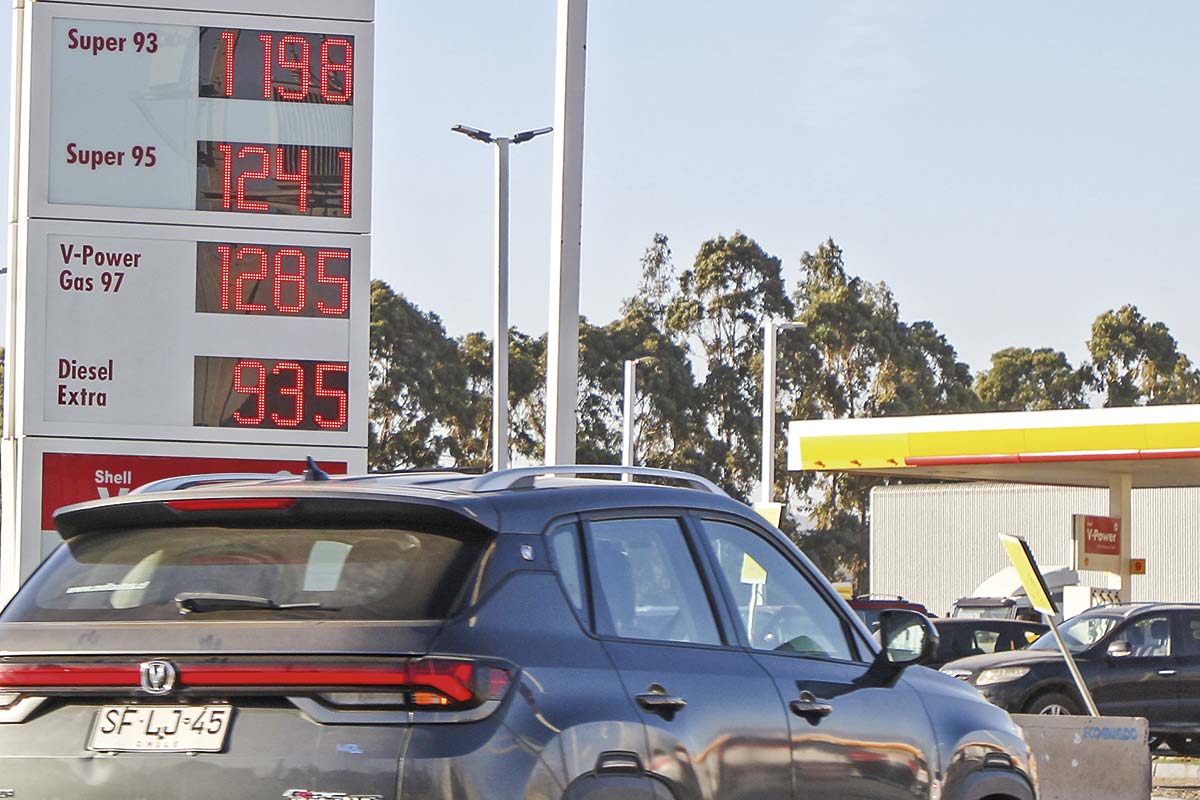 <p>Foto: Tamara Silva</p>