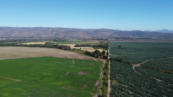 <p>Proyecto eólico de francesa EDF por US$ 110 millones obtiene su aprobación ambiental</p>